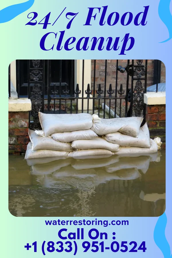 24/7 Flood Cleanup in Prospect Park, PA