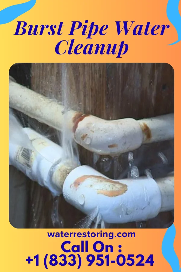 Burst Pipe Water Cleanup in Prospect Park, PA
