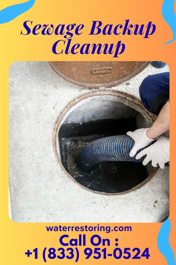 Sewage Backup Cleanup in Prospect Park, PA
