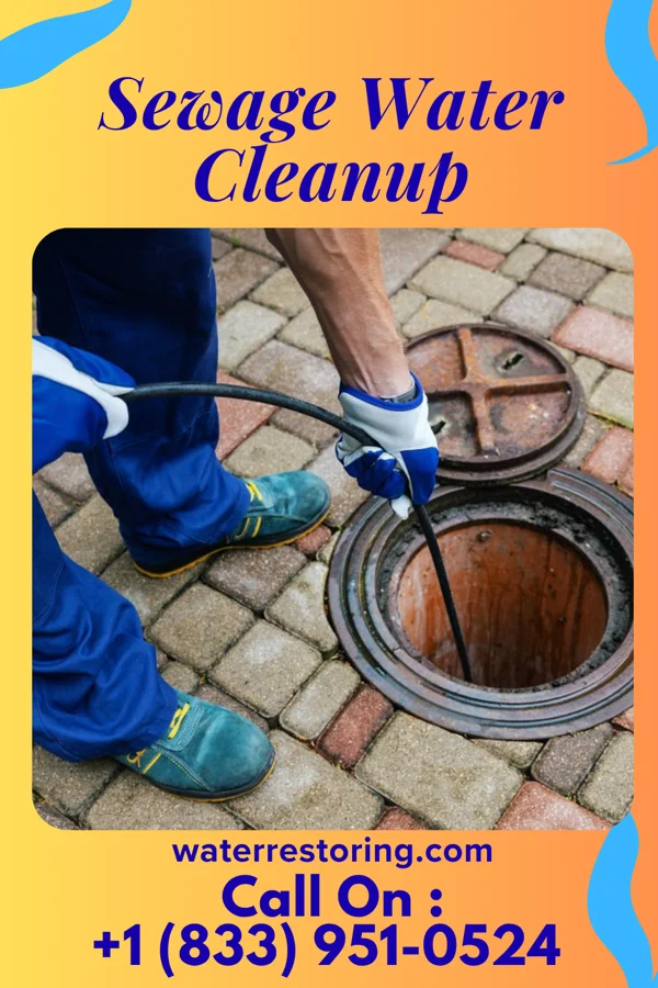 Sewage Water Cleanup in Prospect Park, PA