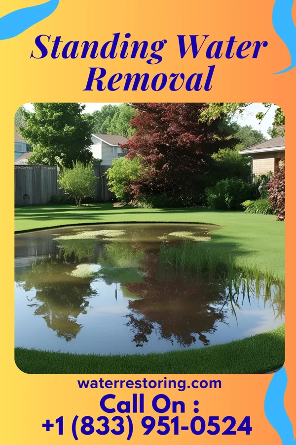 Standing Water Removal in Prospect Park, PA